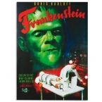 Poster Tableau Cinéma Frankenstein 50 x 70 cm