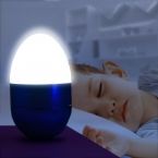 Decorative LED Egg