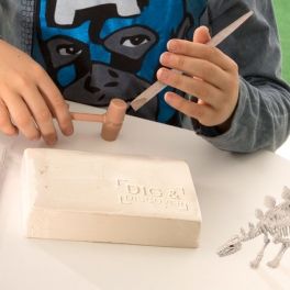 Jeu de Paléontologie pour Enfants