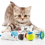 Jouets pour Chats